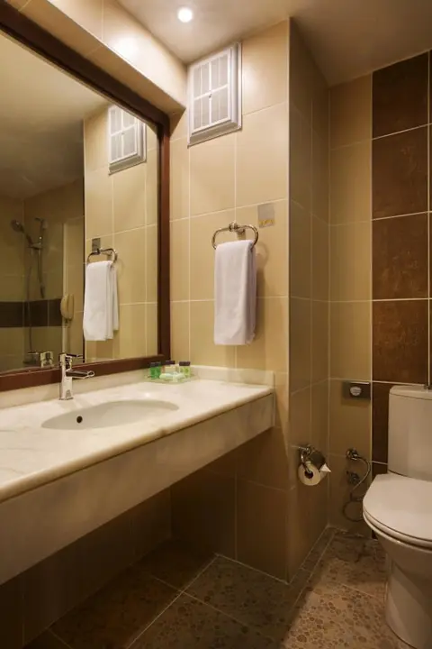 Эрзурум: Dedeman Palandoken Resort Hotel