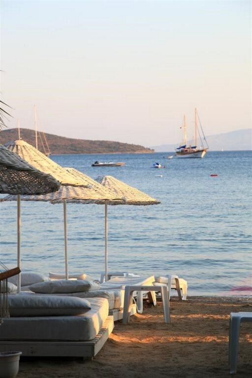 Битез: Okaliptus Hotel