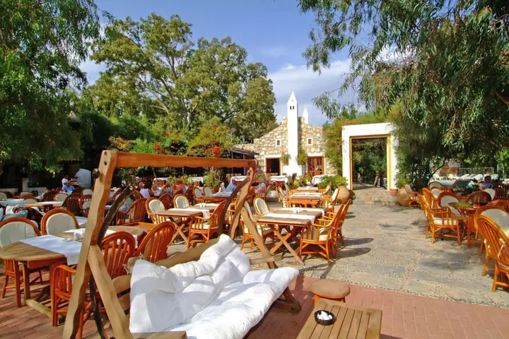 Битез: Okaliptus Hotel