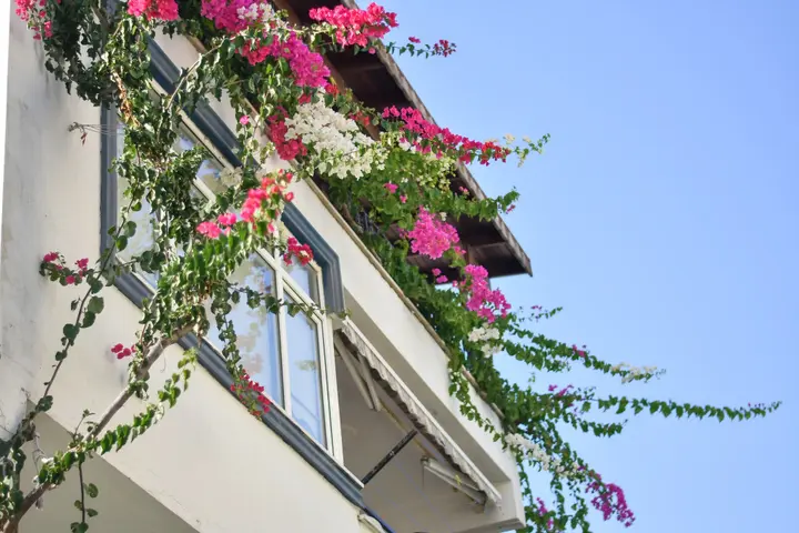 Датча: Kaya Apart Hotel Datca