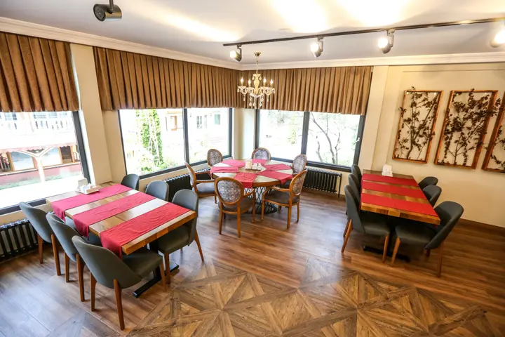 Термал: Thermal Saray Hotel & Spa Yalova