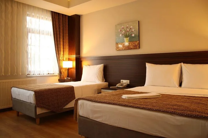 Дюздже: Pelemir Hotel