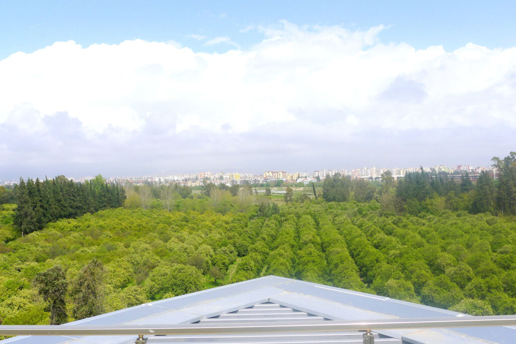 Анталья: Melda Palace