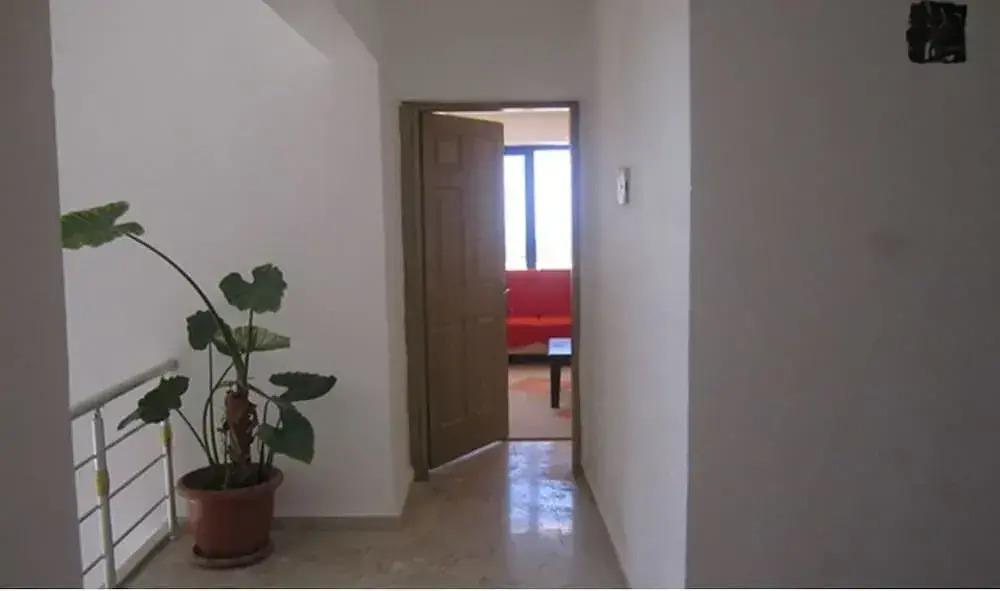 Патара: Patara Ince Hotel