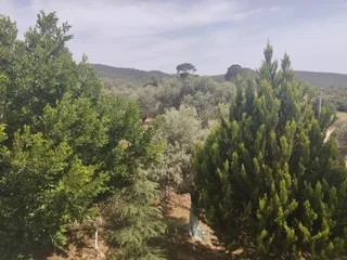 Патара: Patara Ince Hotel