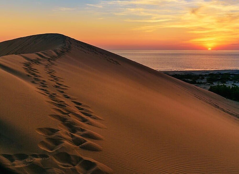 Патара: Patara Ince Hotel