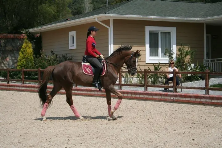 Гокова: Padok Premium Hotel and Stables