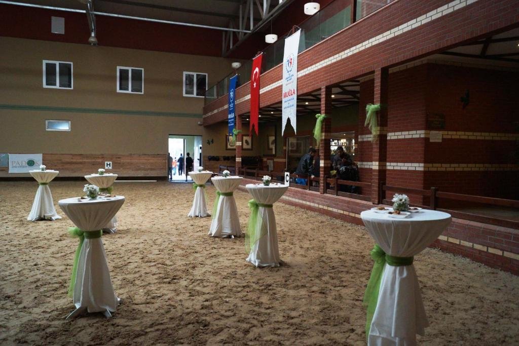 Padok Premium Hotel and Stables — фото 4