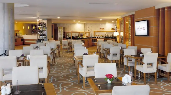 Адана: Anemon Grand Adana Otel