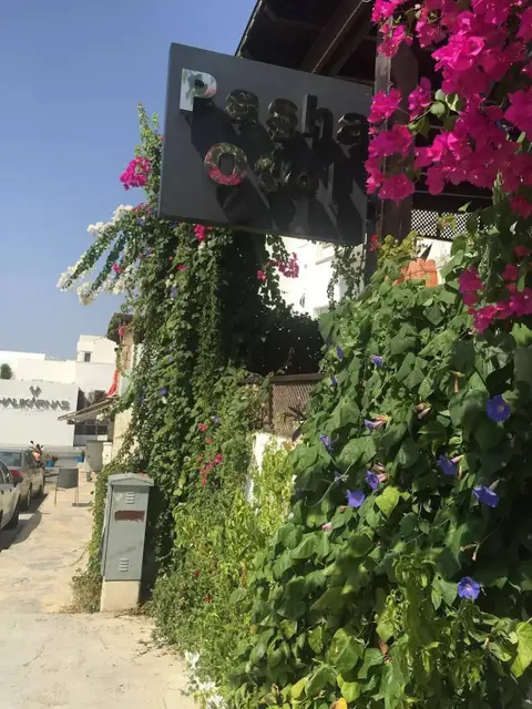 Бодрум: Pasha Motel