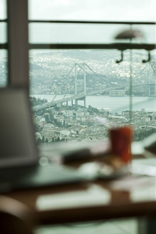 Стамбул: Renaissance Istanbul Polat Bosphorus Hotel