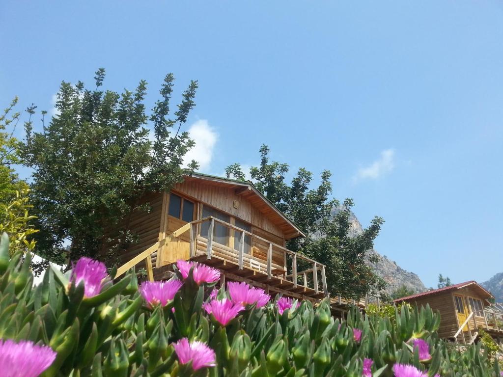 Фетхие: Olive Garden Kabak