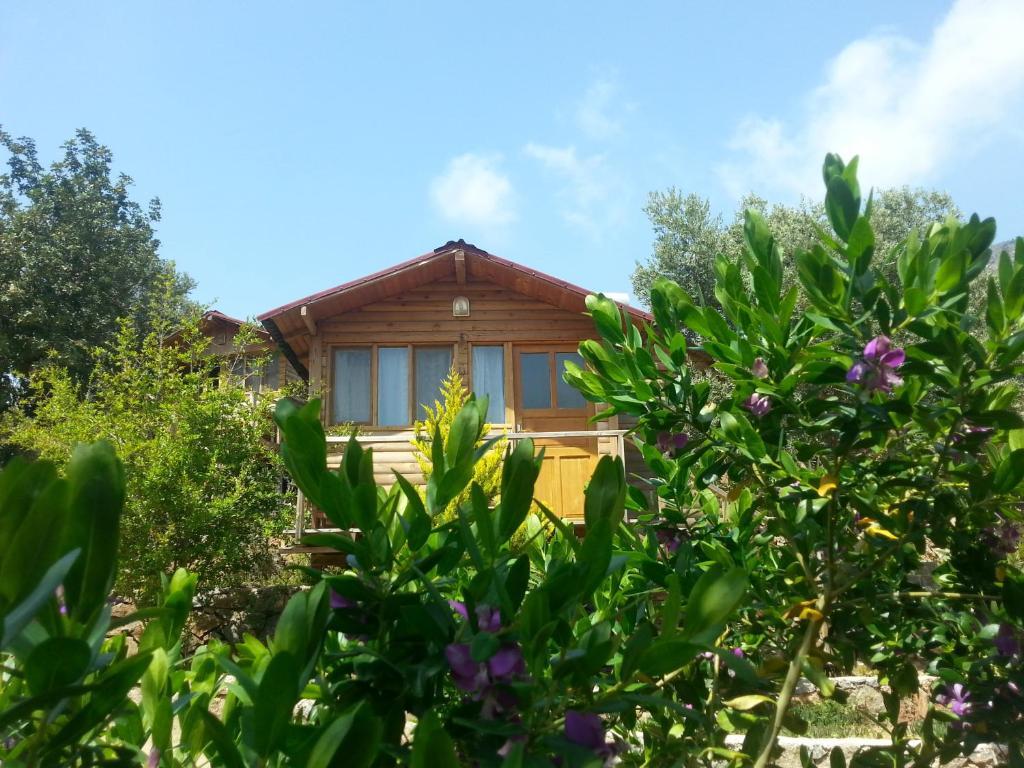 Фетхие: Olive Garden Kabak