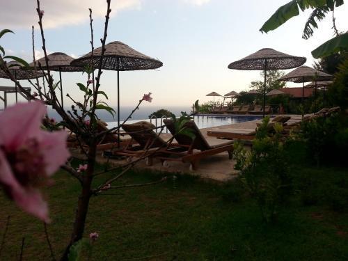 Фетхие: Olive Garden Kabak