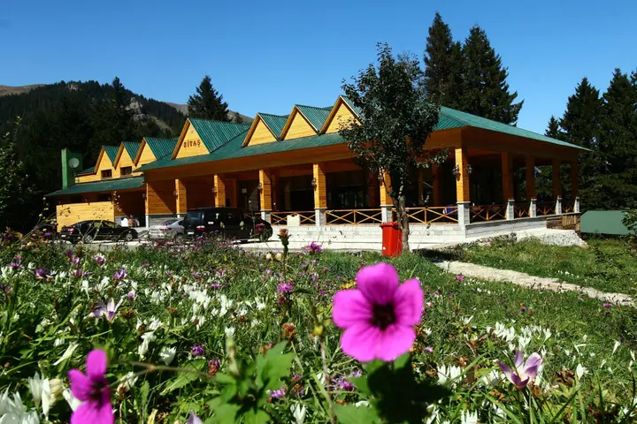 Гюмюшхане: Hamsiköy Zitaş Bungalov & Restoran