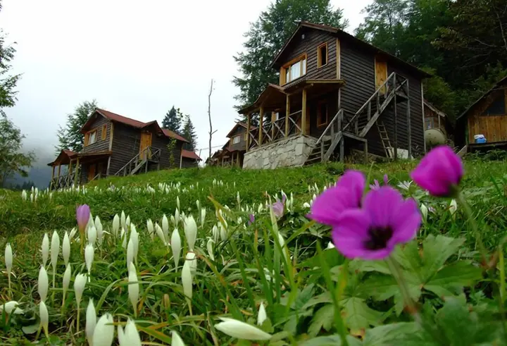 Гюмюшхане: Hamsiköy Zitaş Bungalov & Restoran