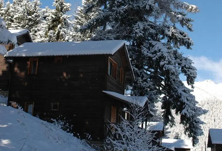 Гюмюшхане: Hamsiköy Zitaş Bungalov & Restoran