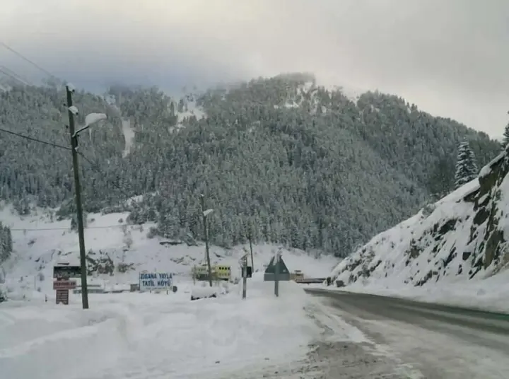 Гюмюшхане: Hamsiköy Zitaş Bungalov & Restoran