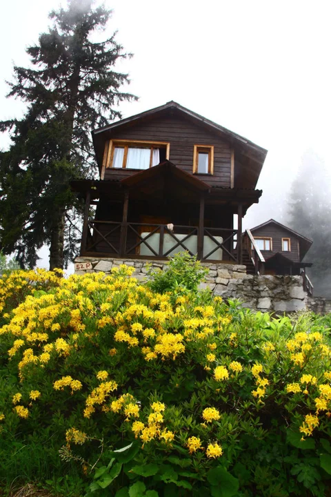Гюмюшхане: Hamsiköy Zitaş Bungalov & Restoran