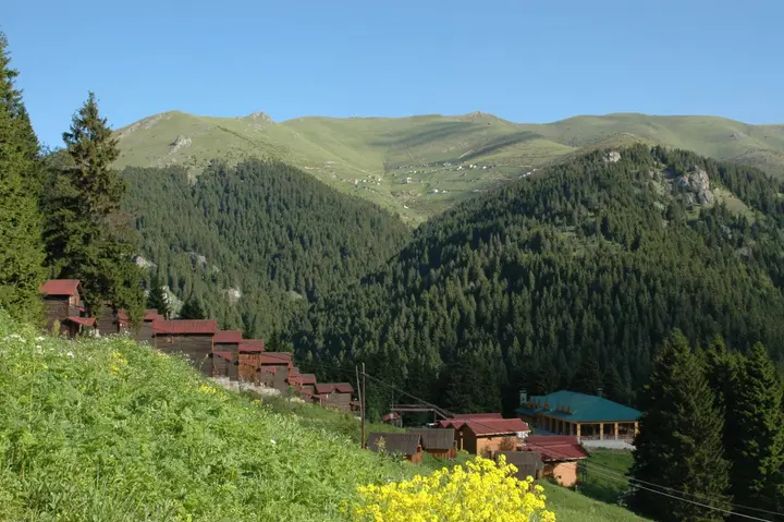 Гюмюшхане: Hamsiköy Zitaş Bungalov & Restoran