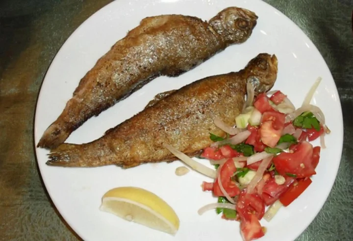Гюмюшхане: Hamsiköy Zitaş Bungalov & Restoran