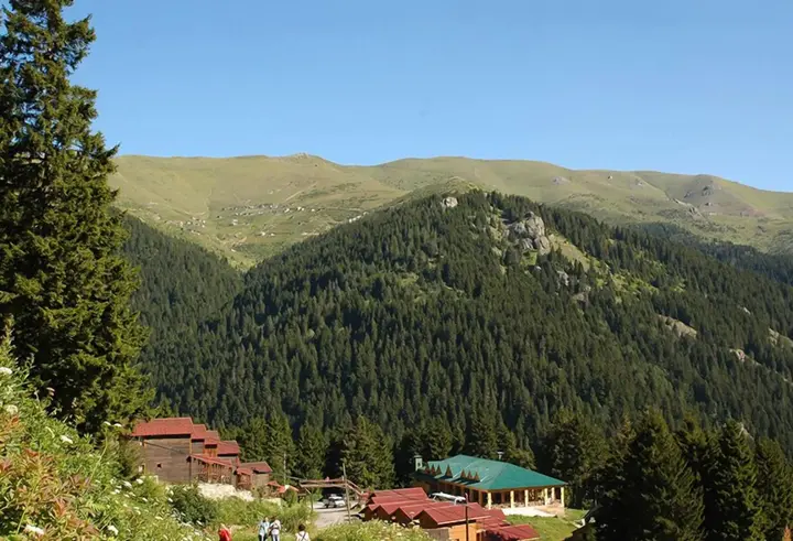 Гюмюшхане: Hamsiköy Zitaş Bungalov & Restoran