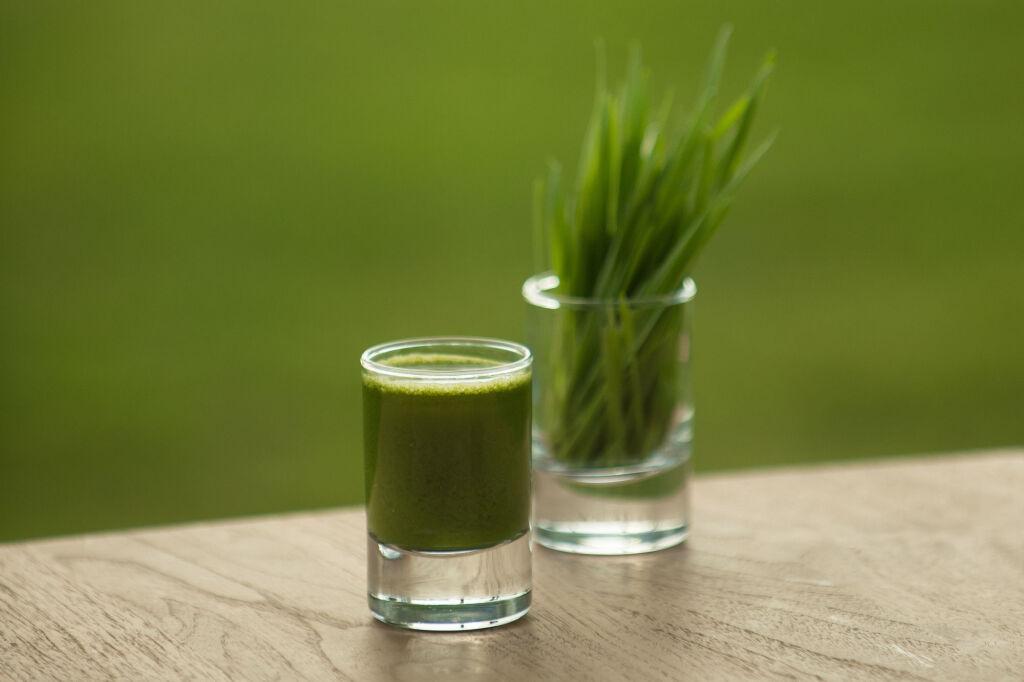 Анталья: The LifeCo Antalya Well-Being Detox Center