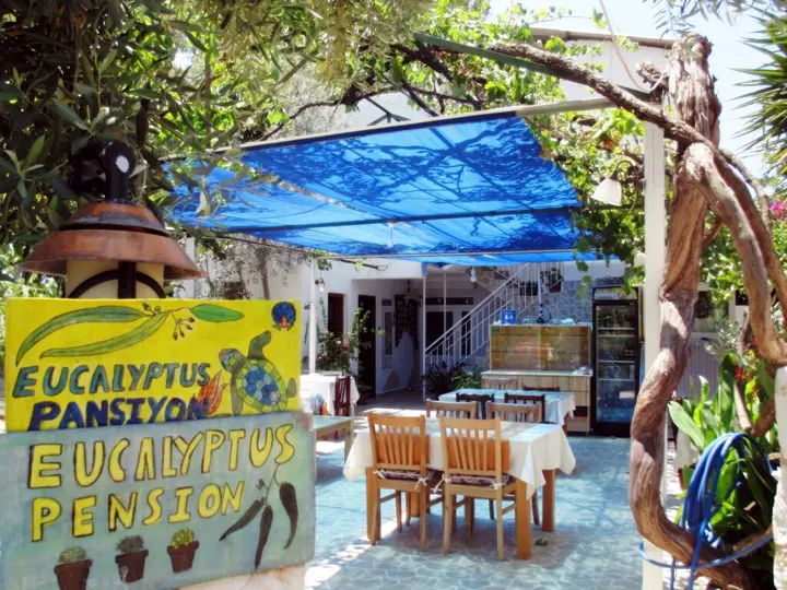 Патара: Eucalyptus Pension