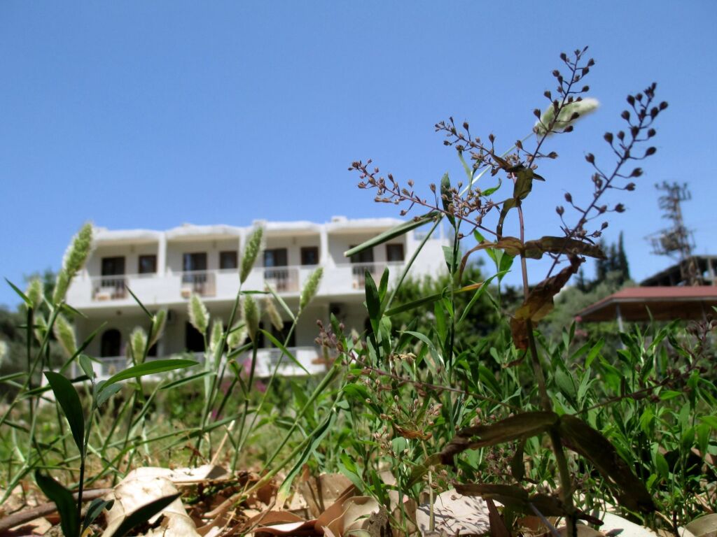 Патара: Eucalyptus Pension