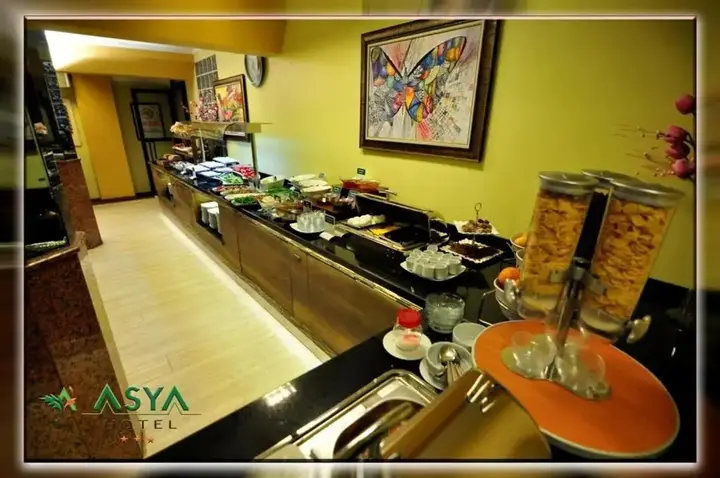Балыкесир: Asya Hotel