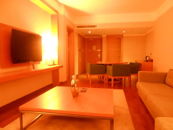Орду: Anemon Kent Ordu Hotel