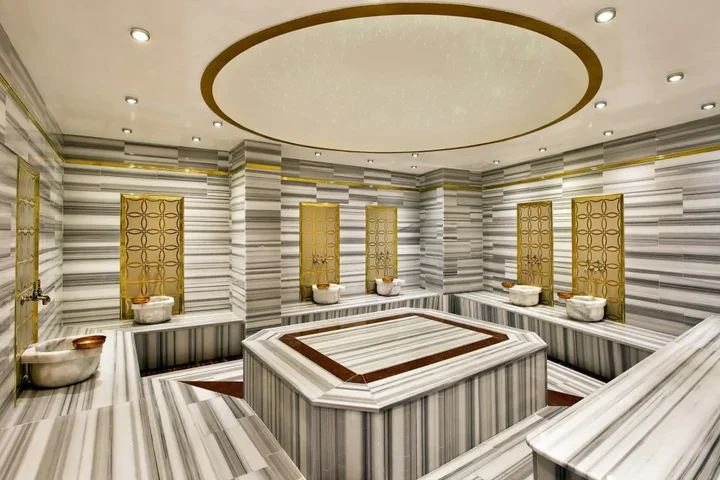 Термал: Black Bird Thermal & Spa Yalova Hotel