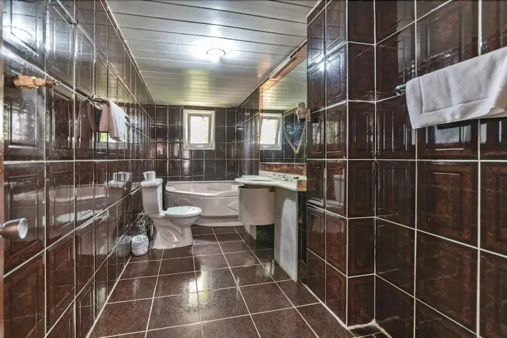 Бююкчекмедже: Payitaht Hotel