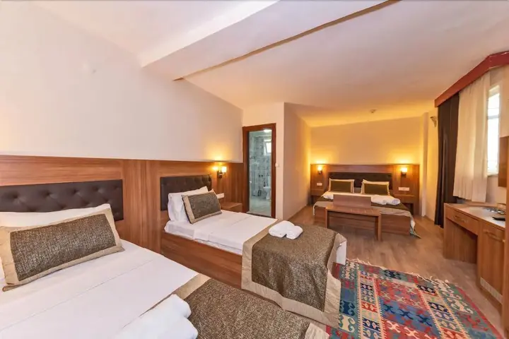 Бююкчекмедже: Payitaht Hotel