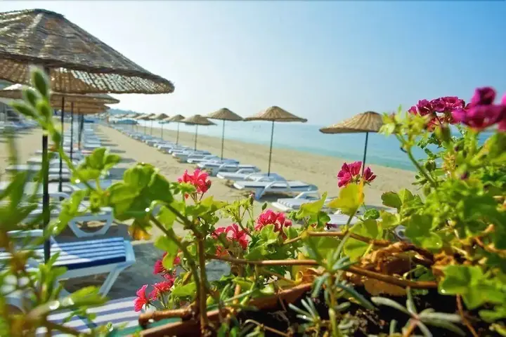 Бююкчекмедже: Payitaht Hotel