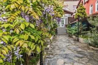 Бююкчекмедже: Payitaht Hotel