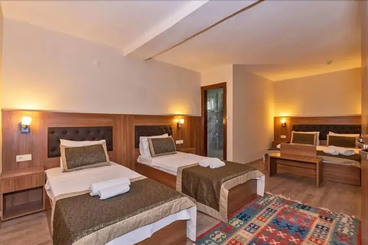 Бююкчекмедже: Payitaht Hotel