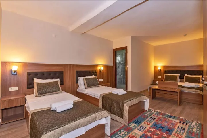 Бююкчекмедже: Payitaht Hotel