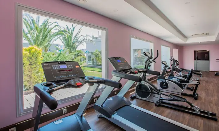 Сельчук: Palm Wings Ephesus Beach Resort