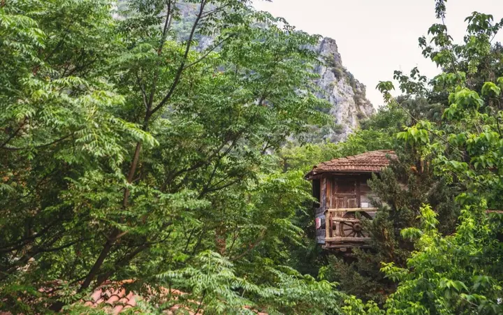 Кумлуджа: Хостел Kadir's Tree Houses