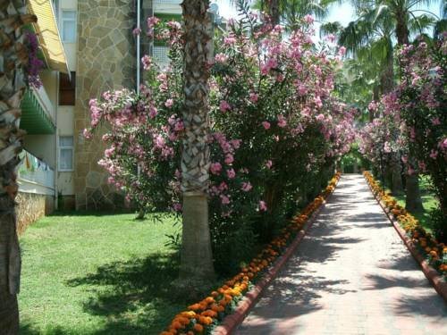 Окурджалар: Alanya Cimtur Family House