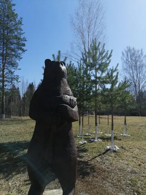 Луга: Гостевой дом Сахалин