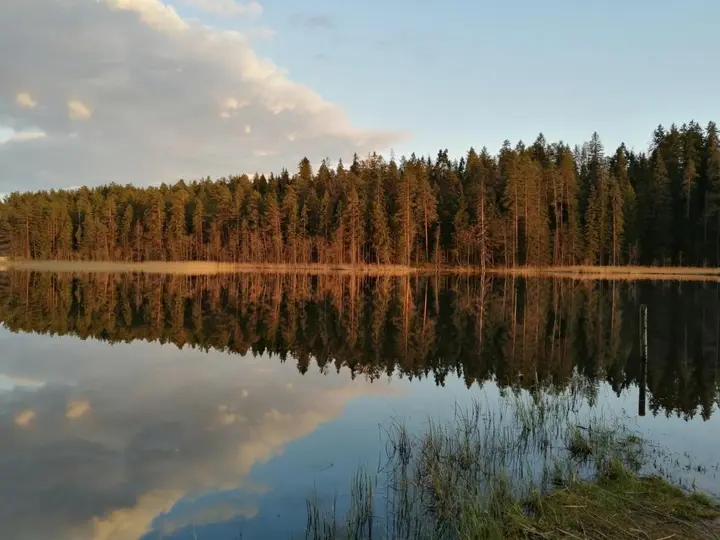 Луга: Гостевой дом Сахалин