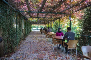 Газлигёль: Basaranlar Thermal Hotel