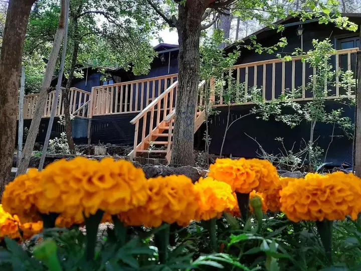 Кумлуджа: Altaris Bungalows Olympos