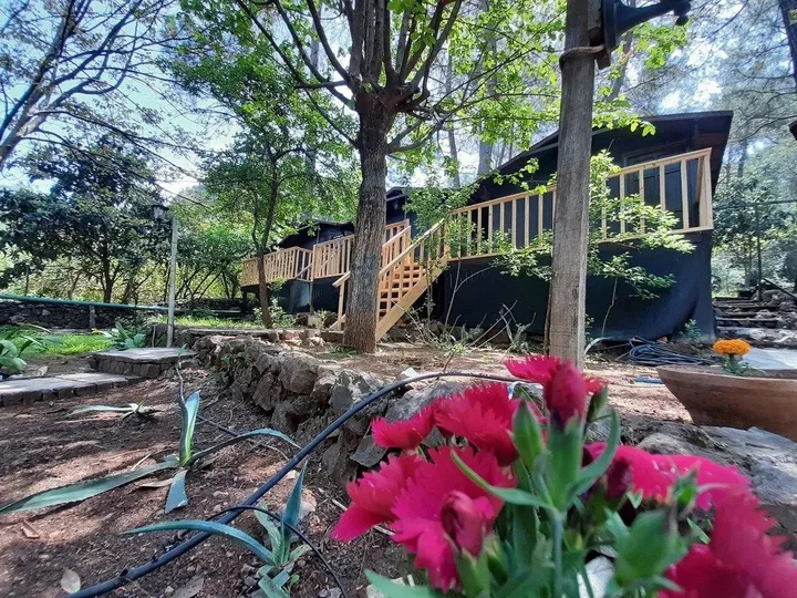 Кумлуджа: Altaris Bungalows Olympos