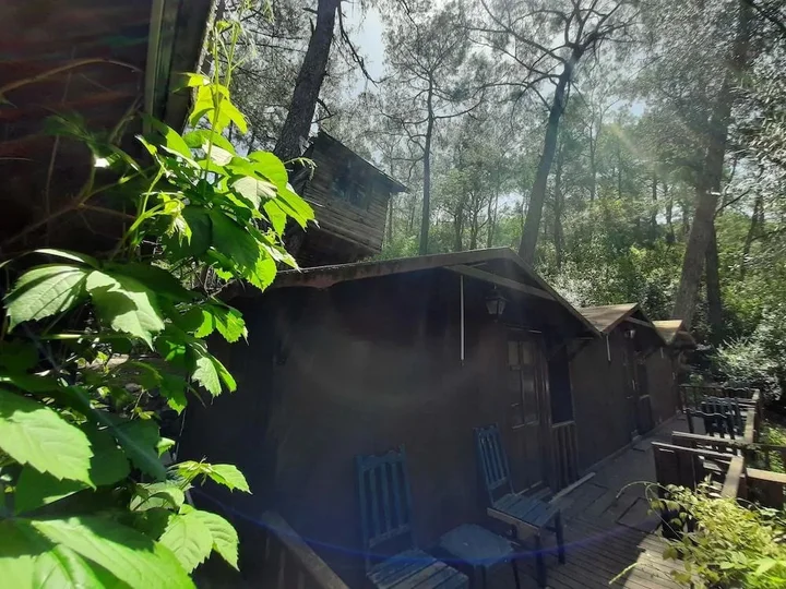Кумлуджа: Altaris Bungalows Olympos