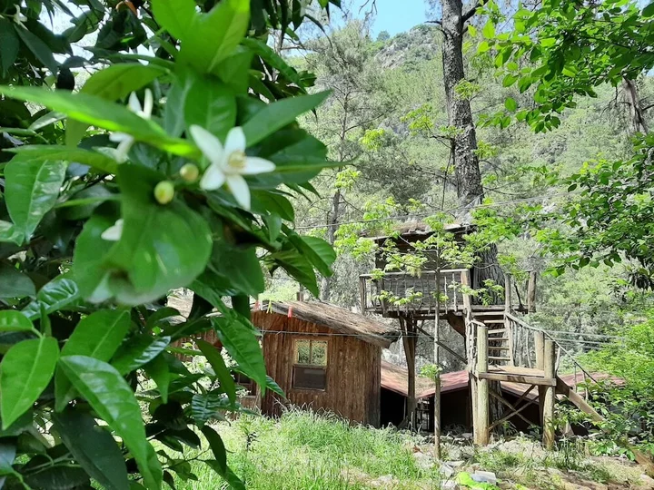 Кумлуджа: Altaris Bungalows Olympos