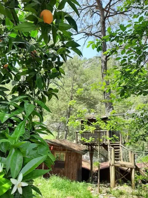 Кумлуджа: Altaris Bungalows Olympos