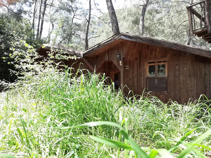 Кумлуджа: Altaris Bungalows Olympos